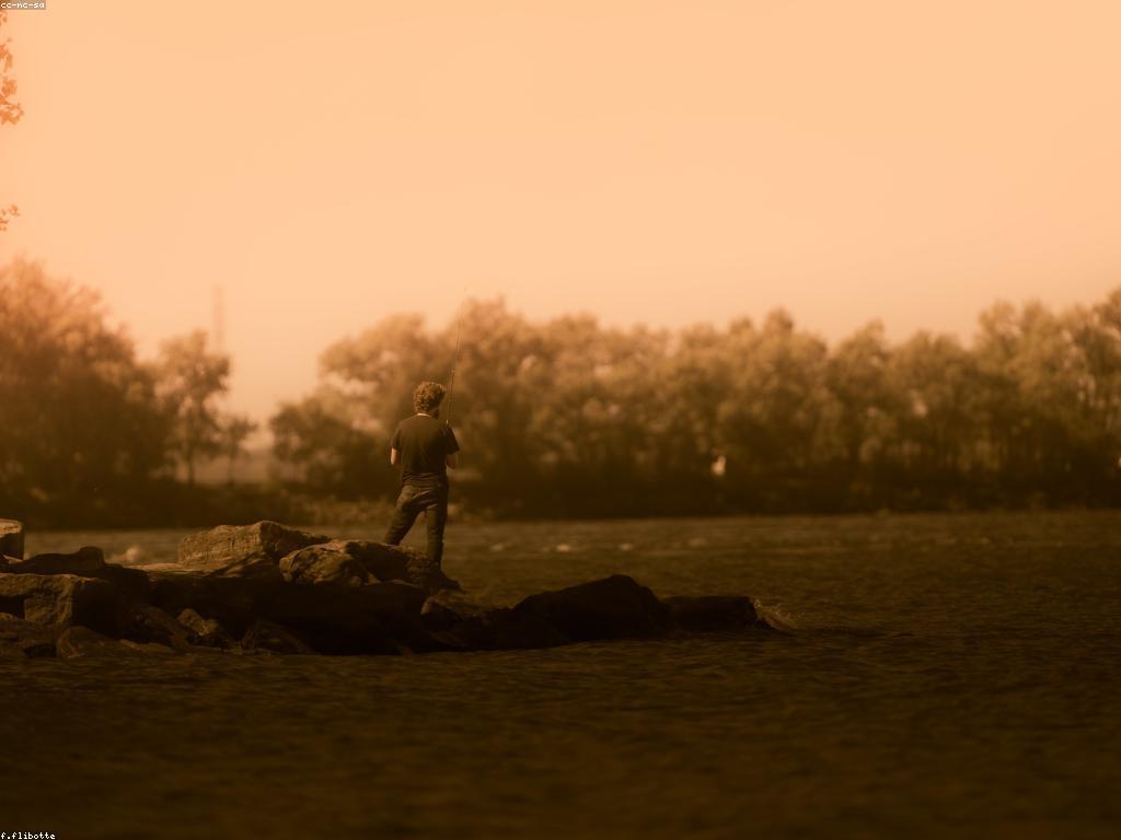 គន្លឹះសំរាប់ការបាញ់ត្រីជាមួយការសិក្សាអំពីសត្វត្រី