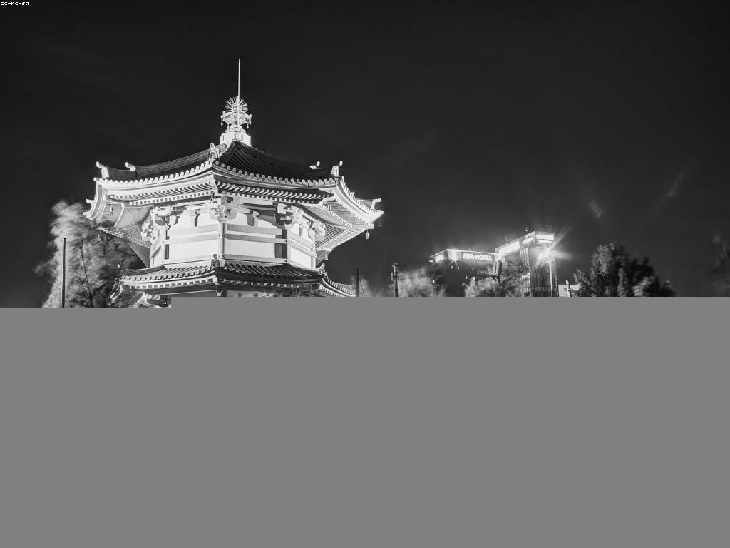 វិធីសាស្ត្រស្ទូឌីយោបាញ់ត្រីសម្រាប់អ្នកដំបូង