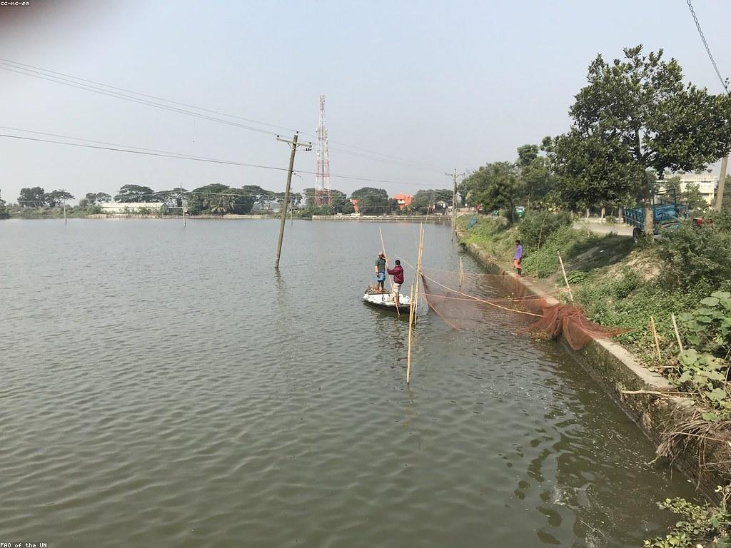 បច្ចេកទេសស្ទូឌីយោបាញ់ត្រីទំនើប