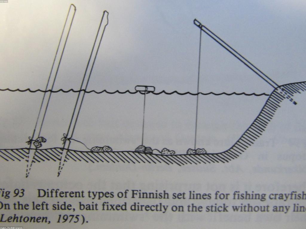 បច្ចេកទេសស្ទូឌីយោបាញ់ត្រីសម្រាប់អ្នកមានបទពិសោធន៍