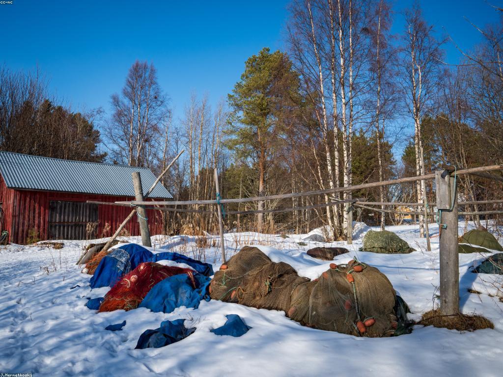 គន្លឹះបាញ់ត្រី: គំនិត និងវិធីសាស្ត្រក្នុងការលេងត្រី