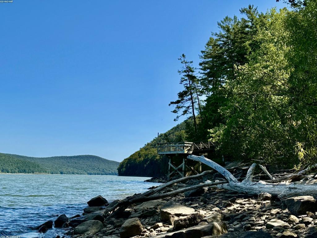 បច្ចេកទេសស្ទូឌីយោបាញ់ត្រីទំនើប