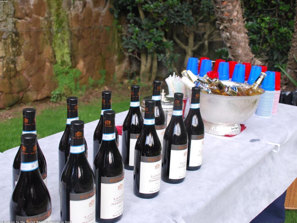 ព្រឹត្តិការណ៍បាញ់ត្រី: ប្រវត្តិ និងសារៈសំខាន់