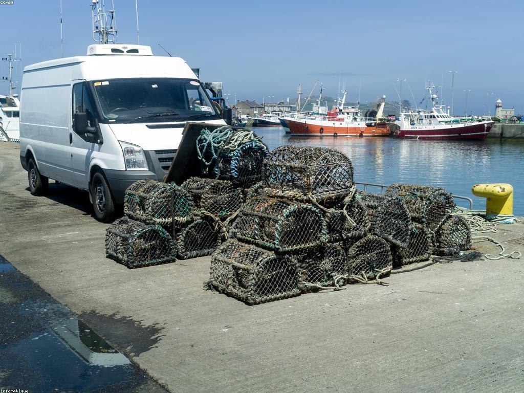 គន្លឹះបាញ់ត្រី: បច្ចេកទេស និងយុទ្ធសាស្ត្រដើម្បីឈ្នះការបាញ់ត្រី