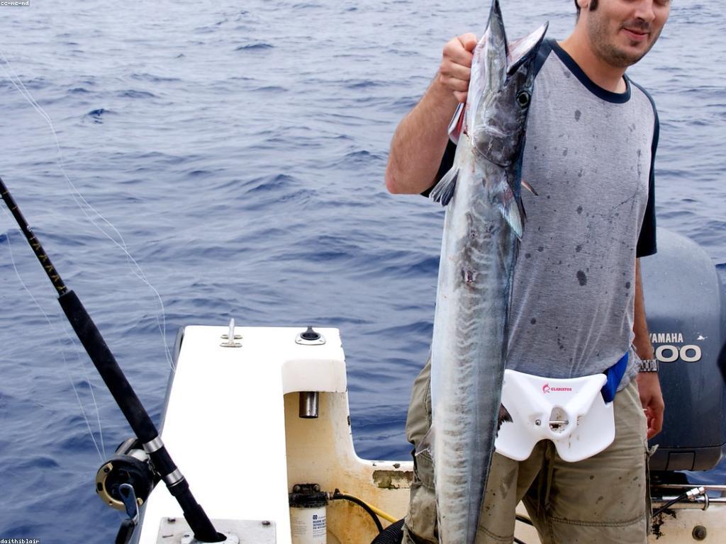 សារៈសំខាន់នៃការប្រកួតបាញ់ត្រីក្នុងសង្គម