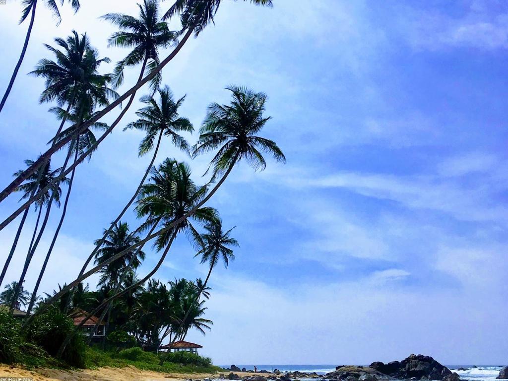 មរតកវប្បធម៌នៃព្រឹត្តិការណ៍បាញ់ត្រី