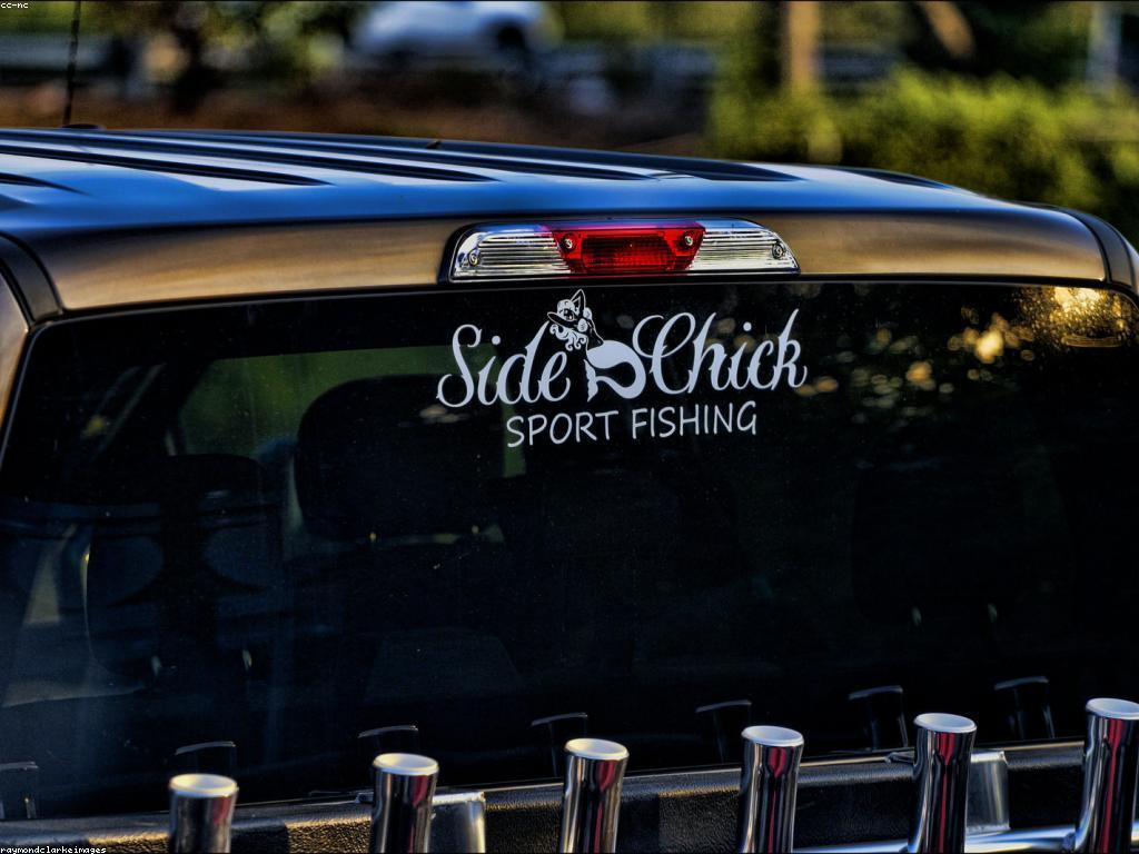 ការយល់ដឹងអំពីឧបករណ៍ស្ទូឌីយោបាញ់ត្រី