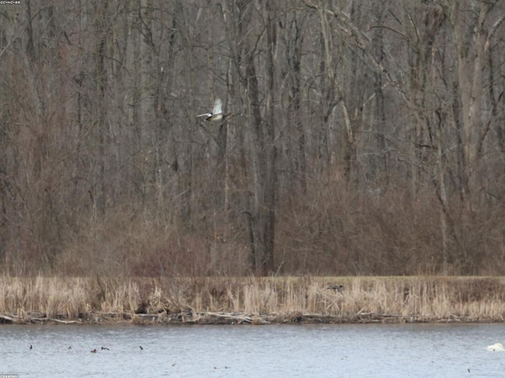 គន្លឹះបាញ់ត្រី: ការល្អប្រសើរ និងបច្ចេកវិទ្យា